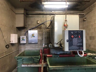 Garbage Doctor Scenting in a waste compactor room, beside the compactor's controls and green bins